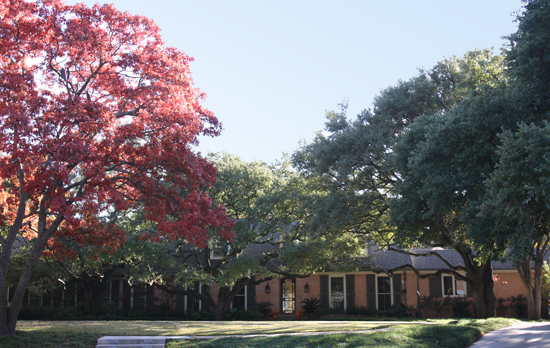 Here is the photograph of President Bush’s home that was referenced in the Texas Monthly article by Tom Foster discussing the race to break the story on President Bush’s new home.