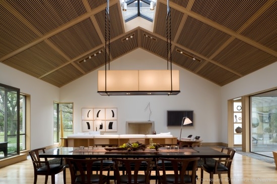 Texas Modern Home