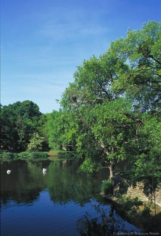 My Favorite Modern and Estate Homes I Offer for Sale Share Boundaries with Massive Private Gardens or Public Parks