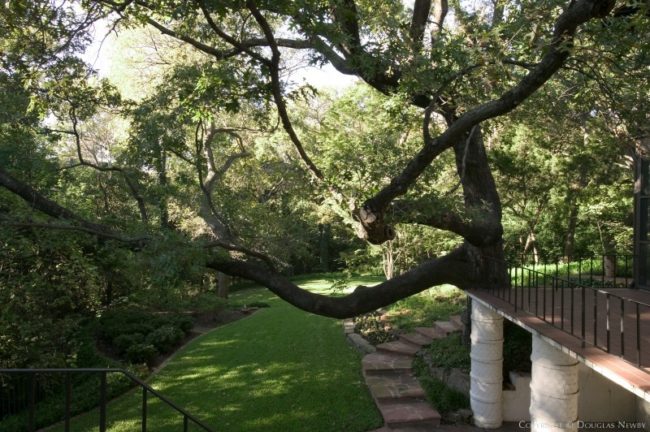 Turtle Creek Corridor Real Estate on 0.633 Acres