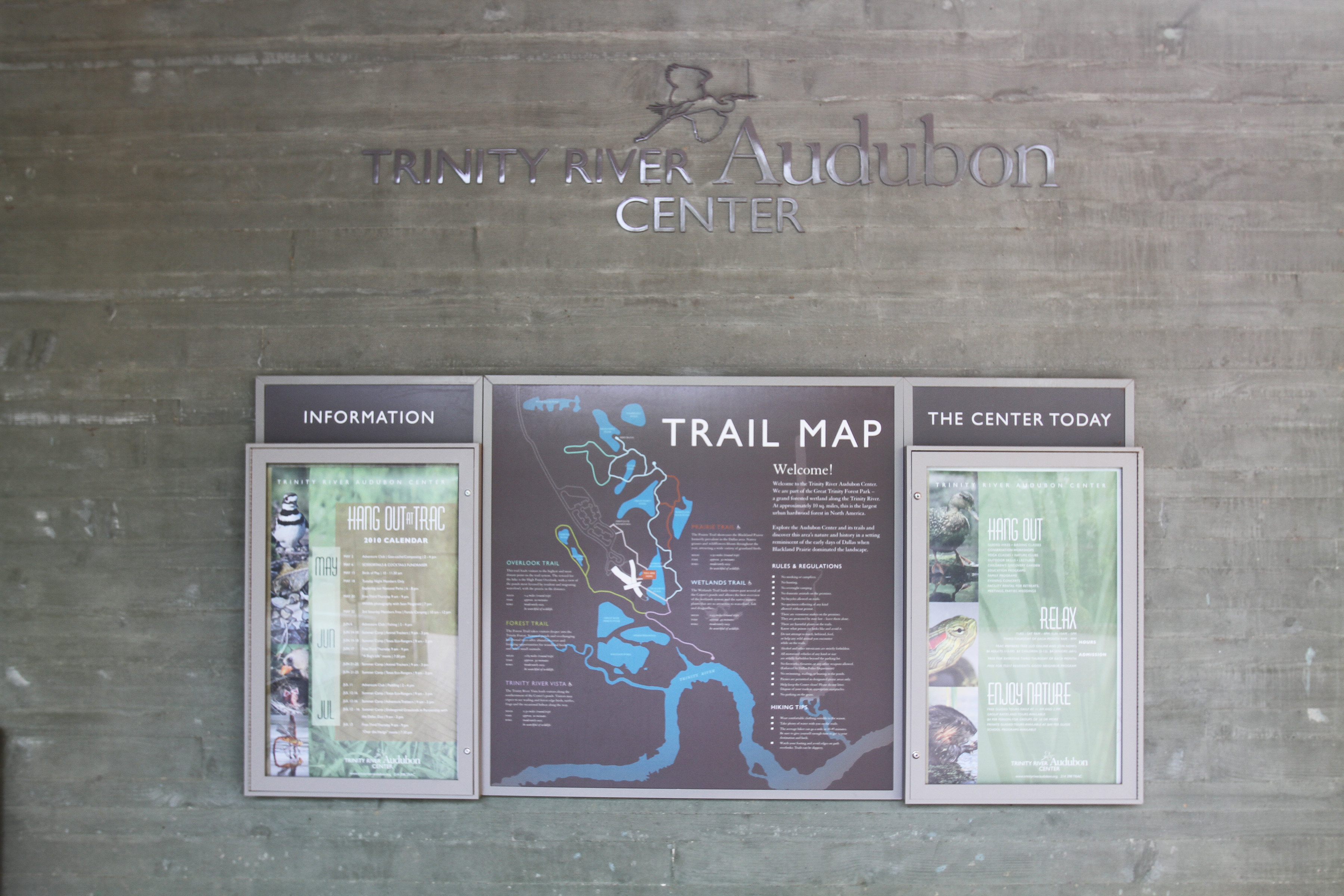 Amazon HQ2 walkers and hikers will enjoy the hardwood forest
