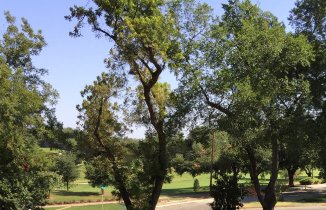 Stevens Park Golf Course is nestled in a charming Dallas neighborhood.