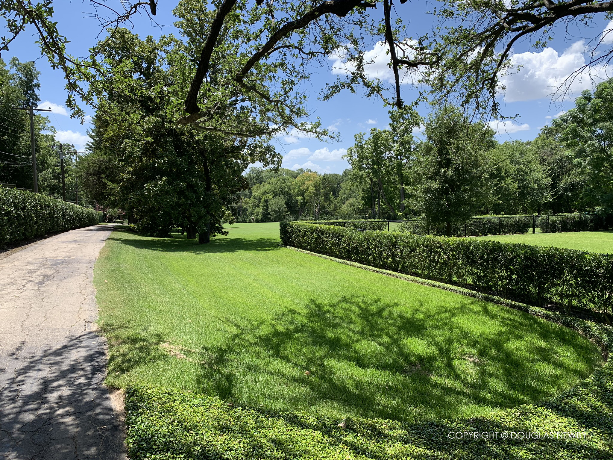 Homes buyers desire are adjacent to a park and forest as seen here behind the White Rock Lake home.