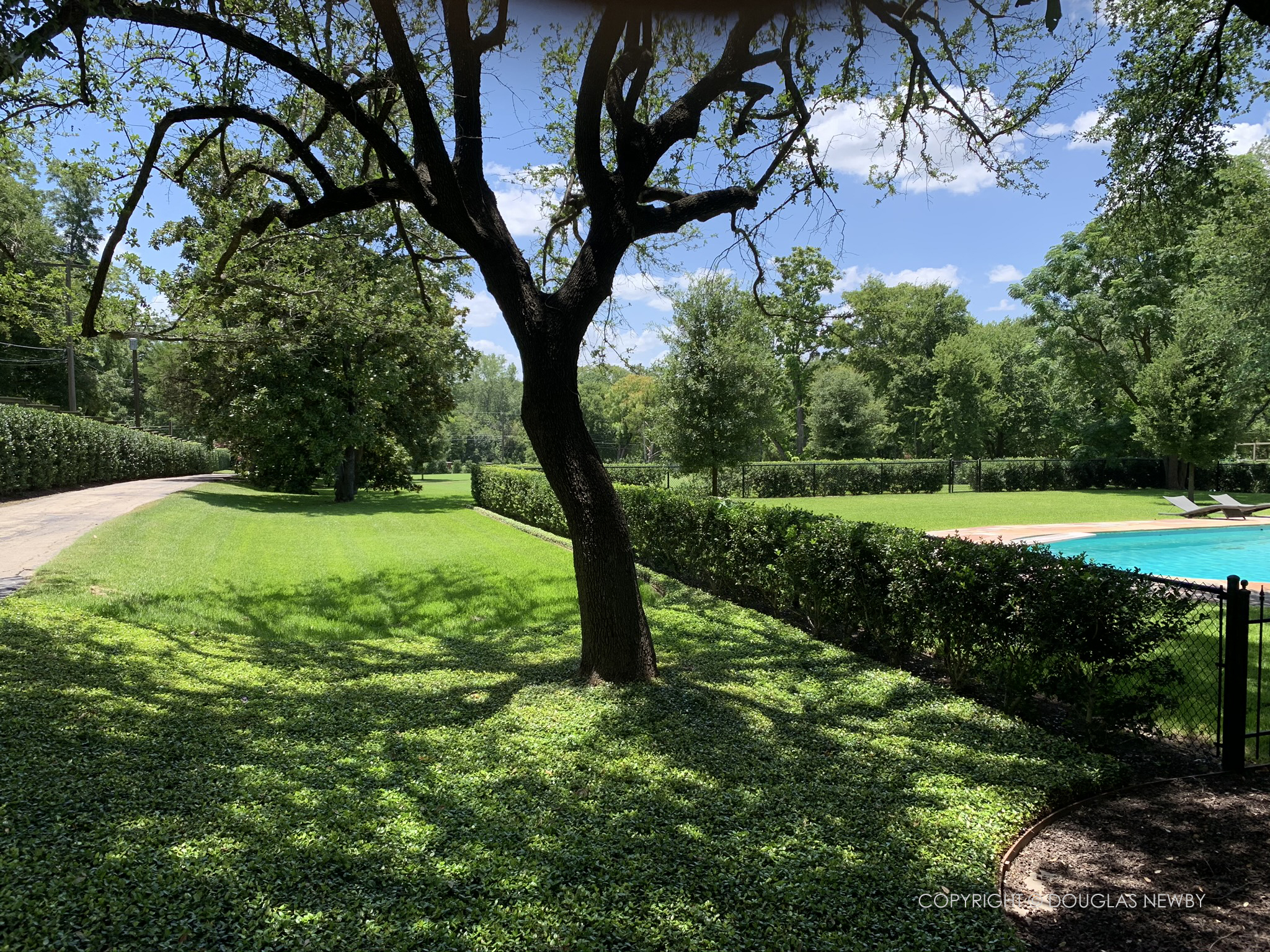White Rock Lake home backyard.