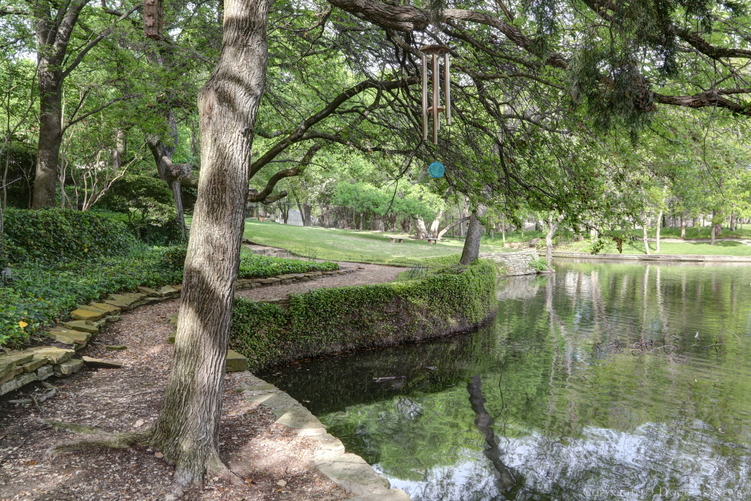 People are Moving from Los Angeles to Dallas for a Serene Environment