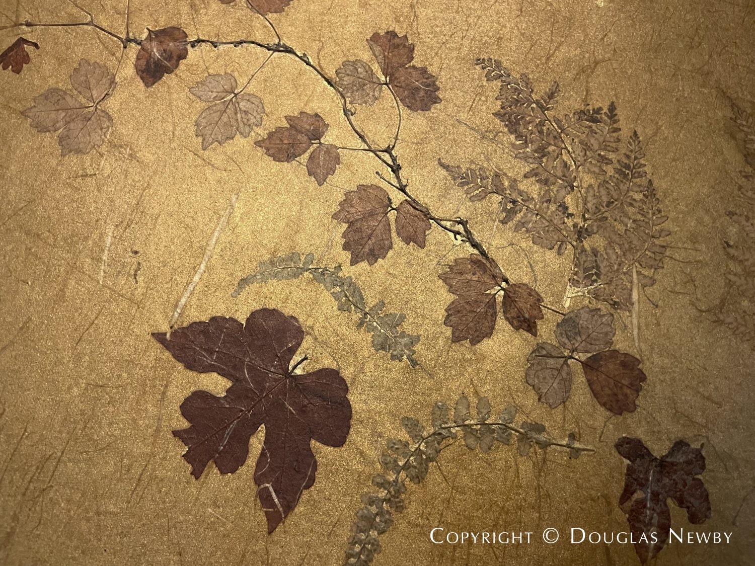 Gold foil in entrance hall of Highland Park home, a preservation success.