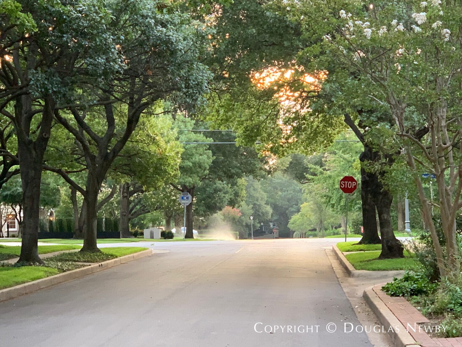 Single Family Zoning, A Homeowner greatest property right, helps eliminate cars parked on the curb.